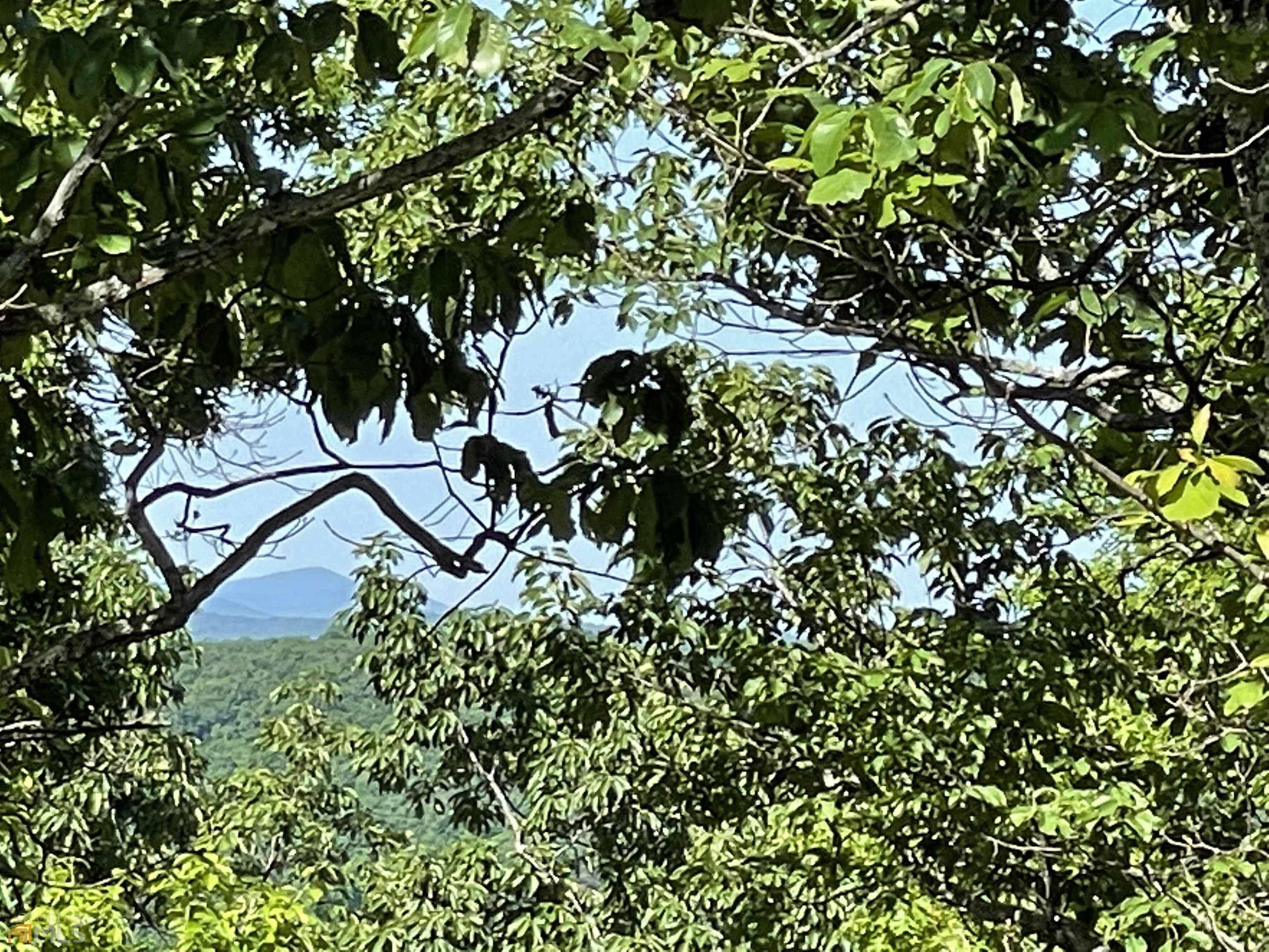 0 Little Eagle Mountain Road, Unit LOT 5 Clarkesville, GA 30523 - Photo 31 of 34