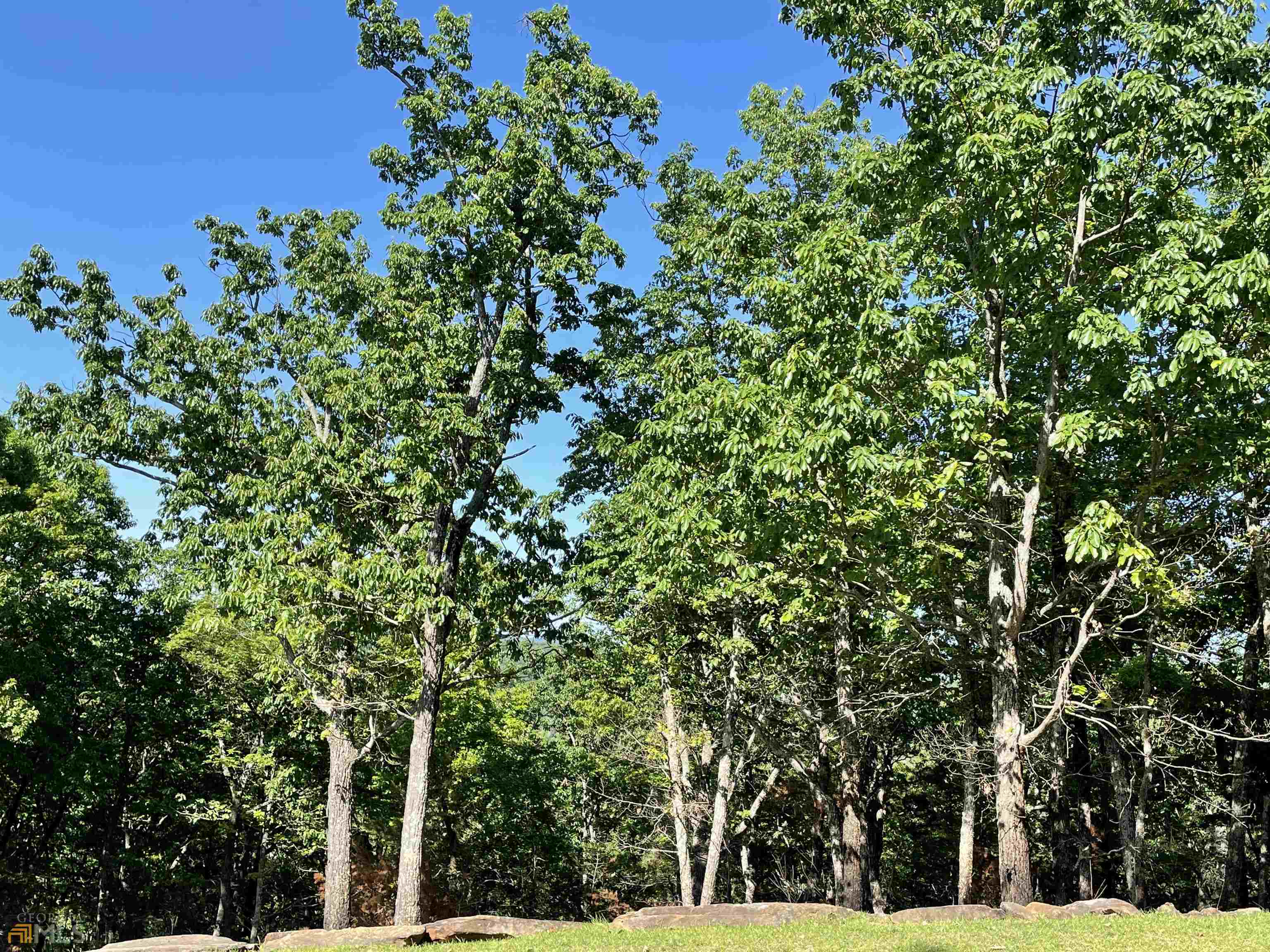 0 Little Eagle Mountain Road, Unit LOT 5 Clarkesville, GA 30523 - Photo 34 of 34