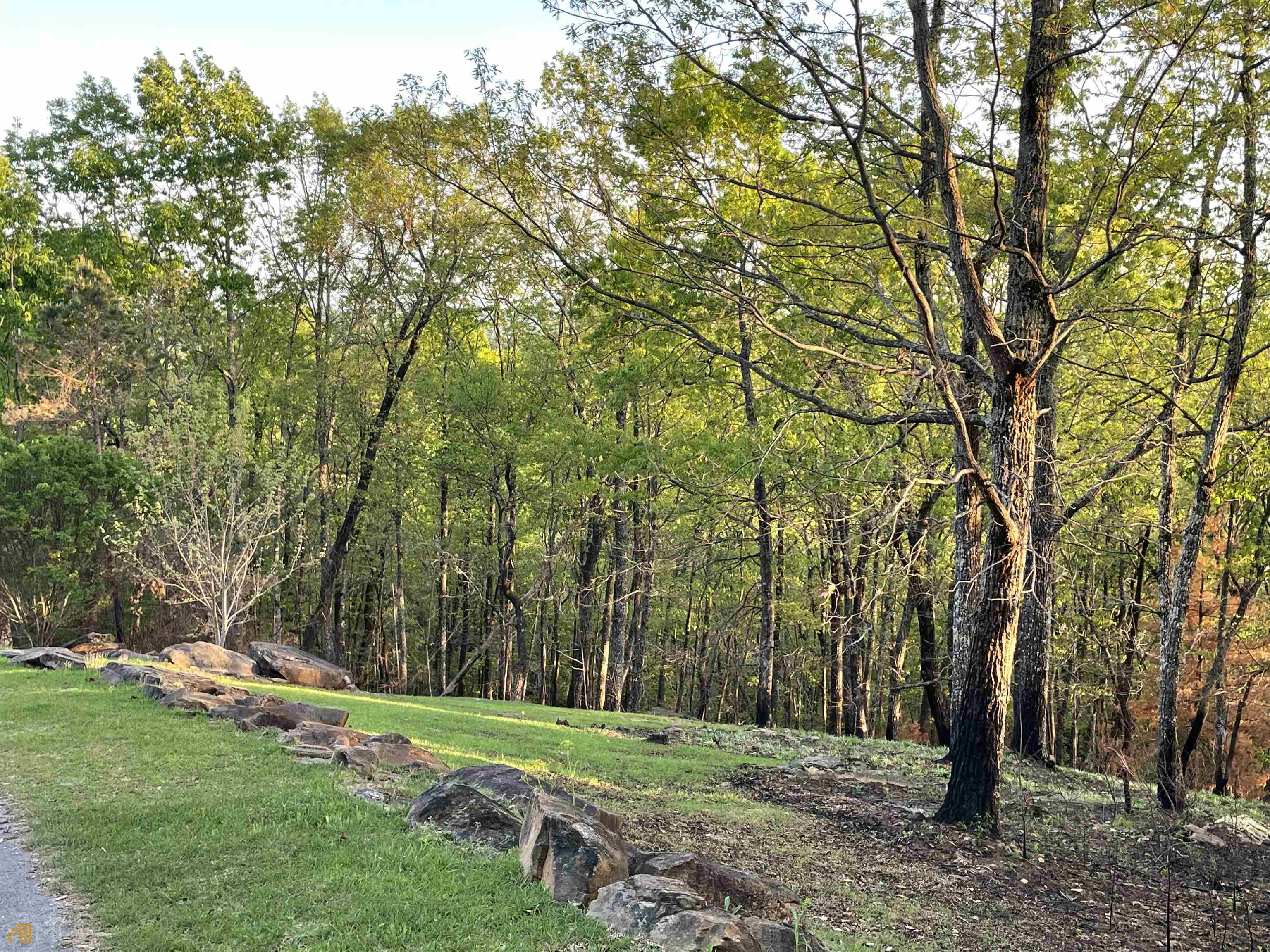 0 Little Eagle Mountain Road, Unit LOT 5 Clarkesville, GA 30523 - Photo 10 of 34