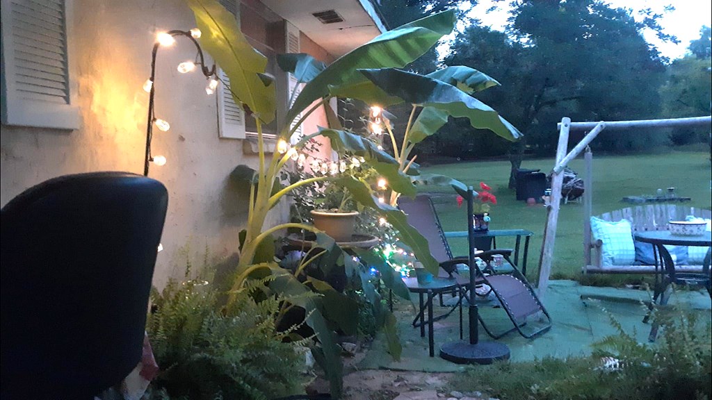 374 Manta Road Cusseta, GA 31805 - Photo 18 of 49 Front Porch at Night