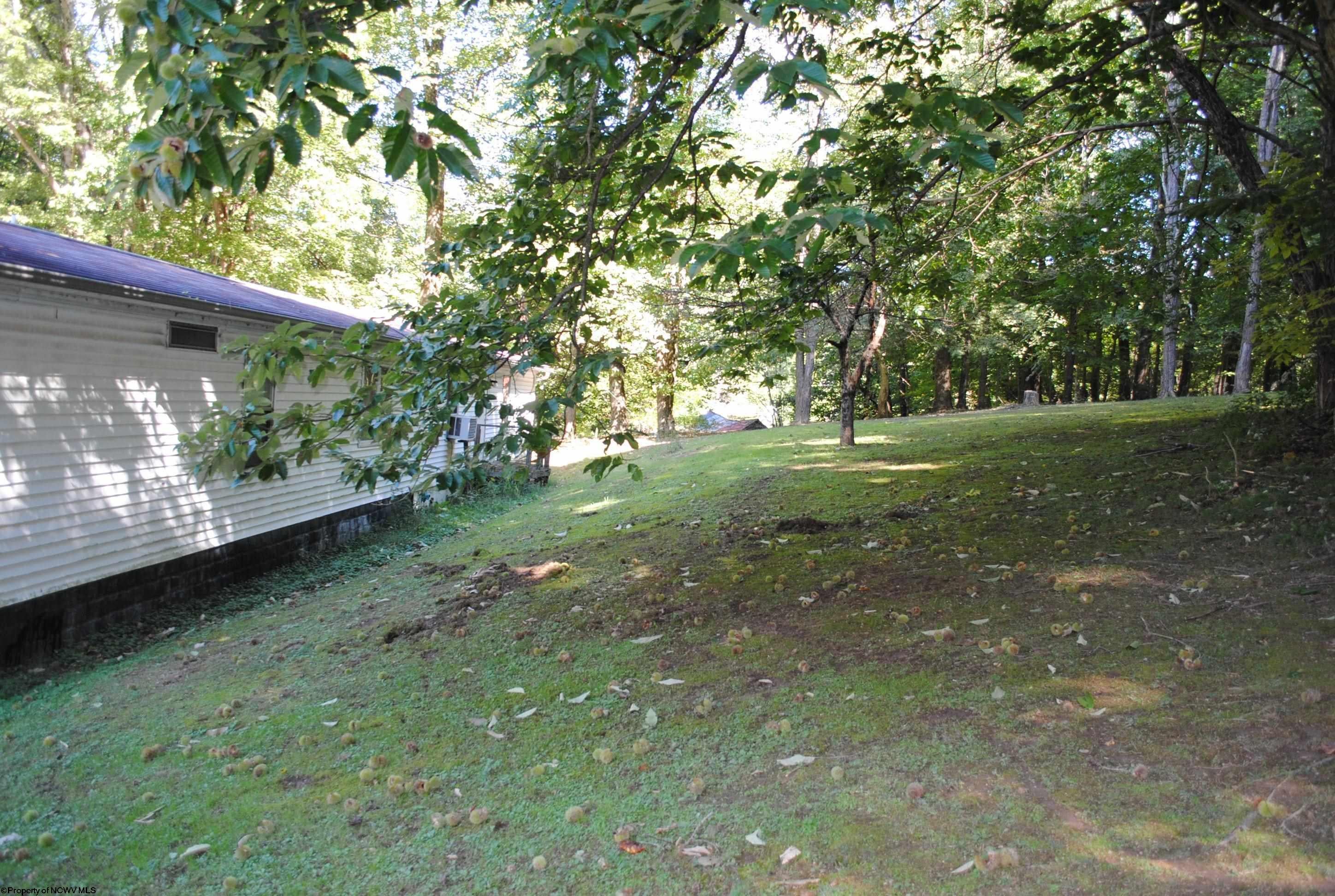93 Daugherty Road Philippi, WV 26416 - Photo 5 of 5 Gallery Image 5
