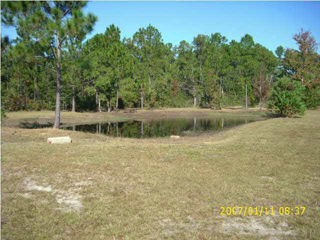 3333 Robinson Point Road Milton, FL 32583 - Photo 13 of 15 VIEW OF POND - BASS & BLUE GILL