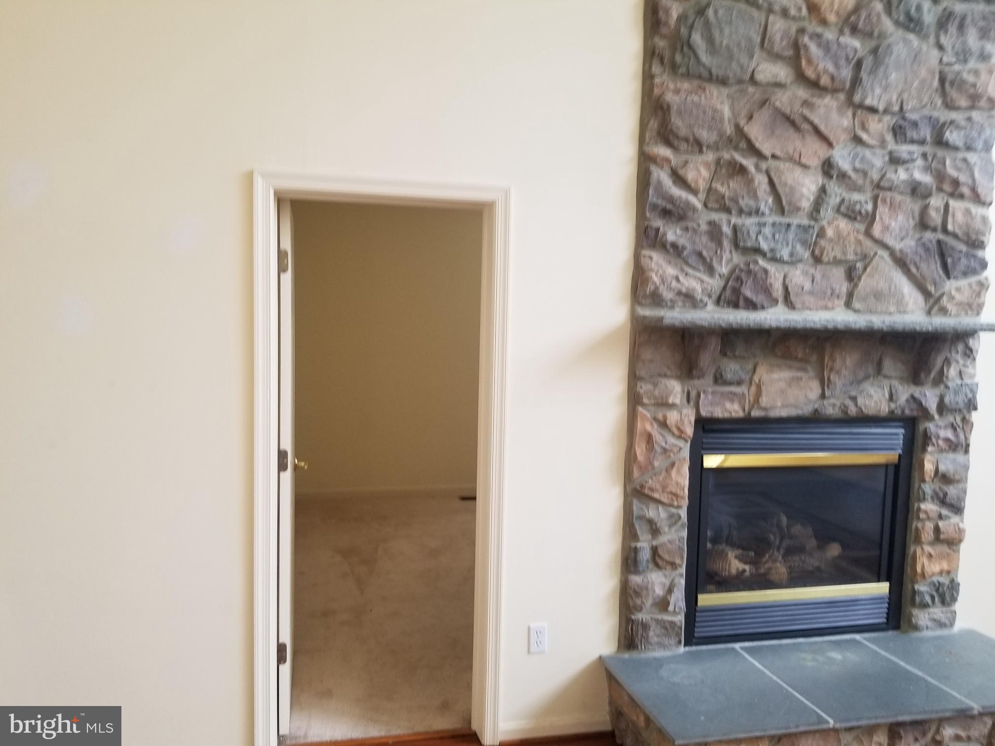 3943 Nelson House Road Ellicott City, MD 21043 - Photo 33 of 61 a door with a fireplace