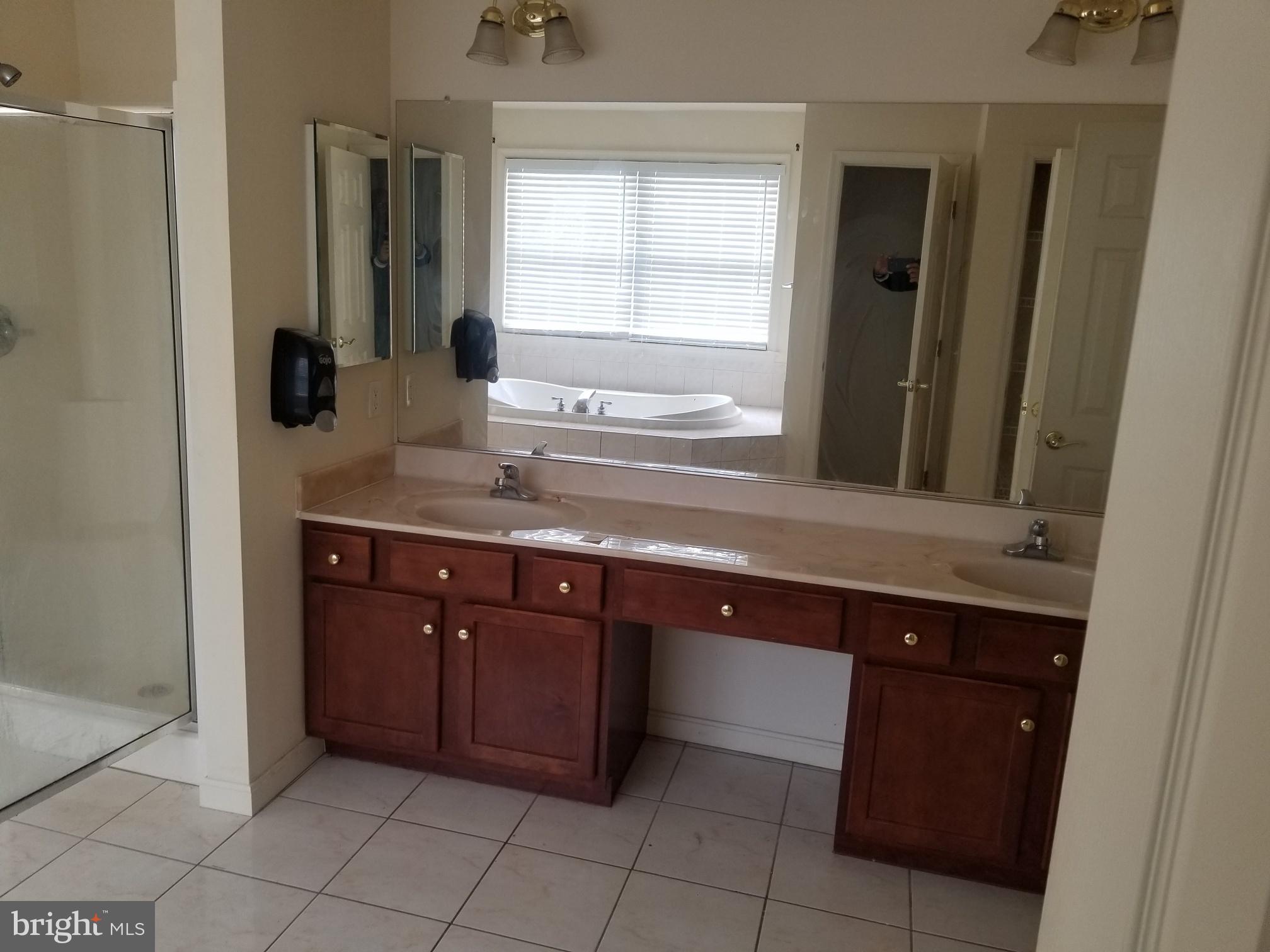 3943 Nelson House Road Ellicott City, MD 21043 - Photo 43 of 61 a bathroom with a granite countertop sink and a mirror