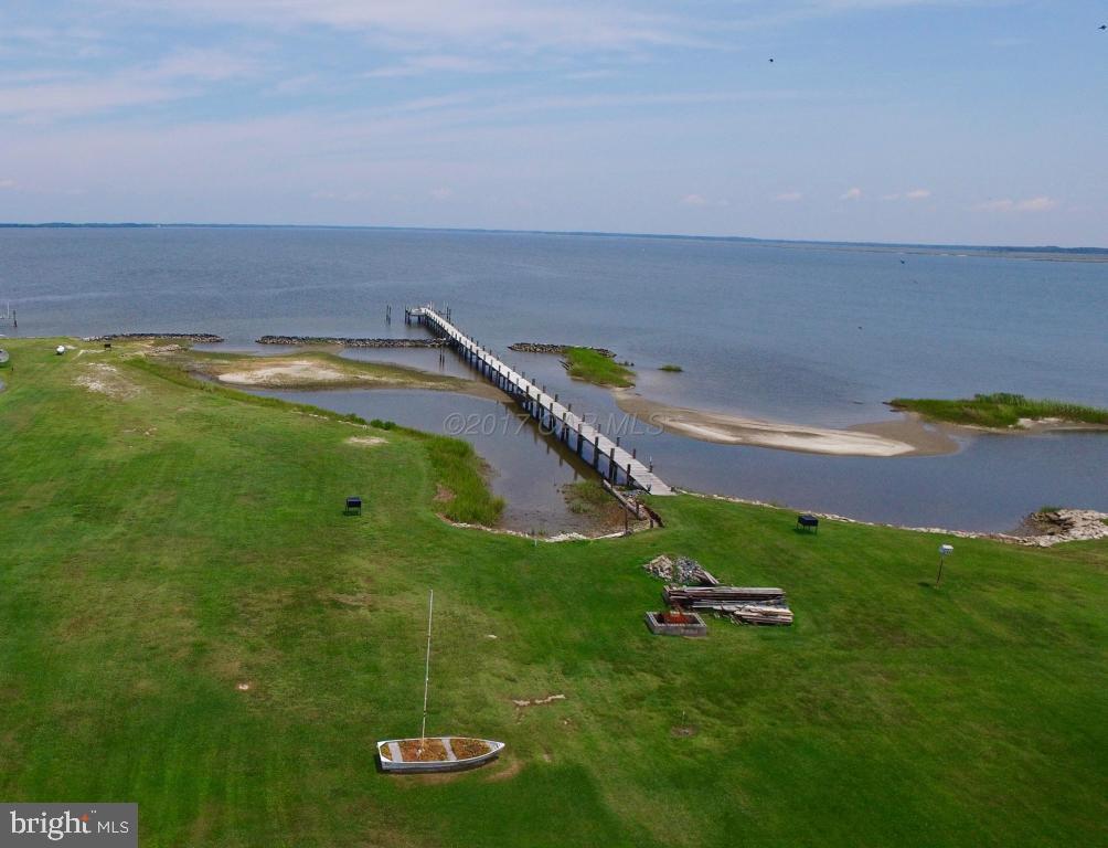 11636 Long Point Road Dames Quarter, MD 21821 - Photo 3 of 24 Gallery Image 3