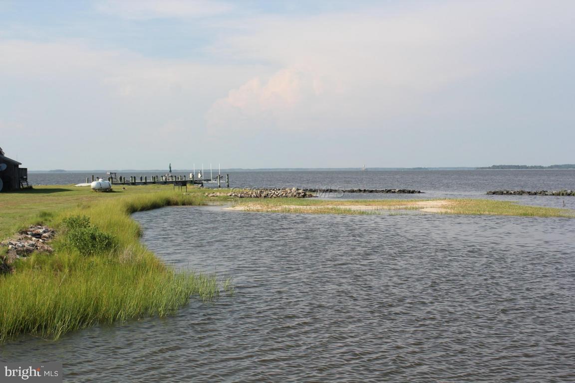 11636 Long Point Road Dames Quarter, MD 21821 - Photo 6 of 24 Gallery Image 6