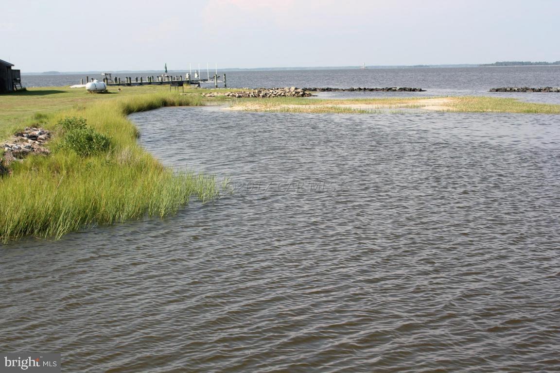 11636 Long Point Road Dames Quarter, MD 21821 - Photo 7 of 24 Gallery Image 7