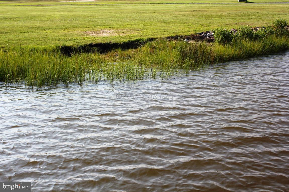 11636 Long Point Road Dames Quarter, MD 21821 - Photo 9 of 24 Gallery Image 9