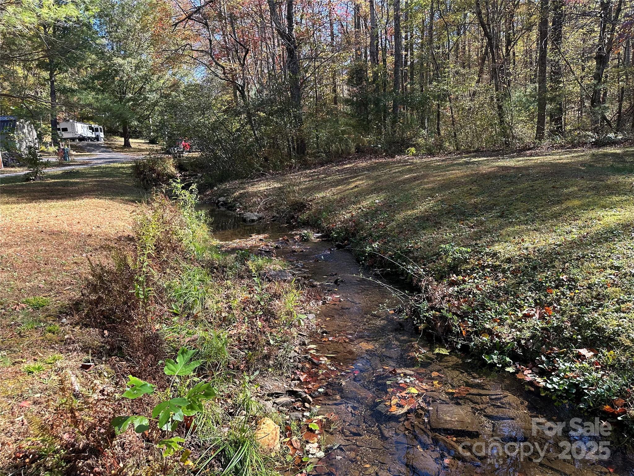 1917 Longbottom Road McGrady, NC 28649 - Photo 27 of 32 a view of a yard with a tree