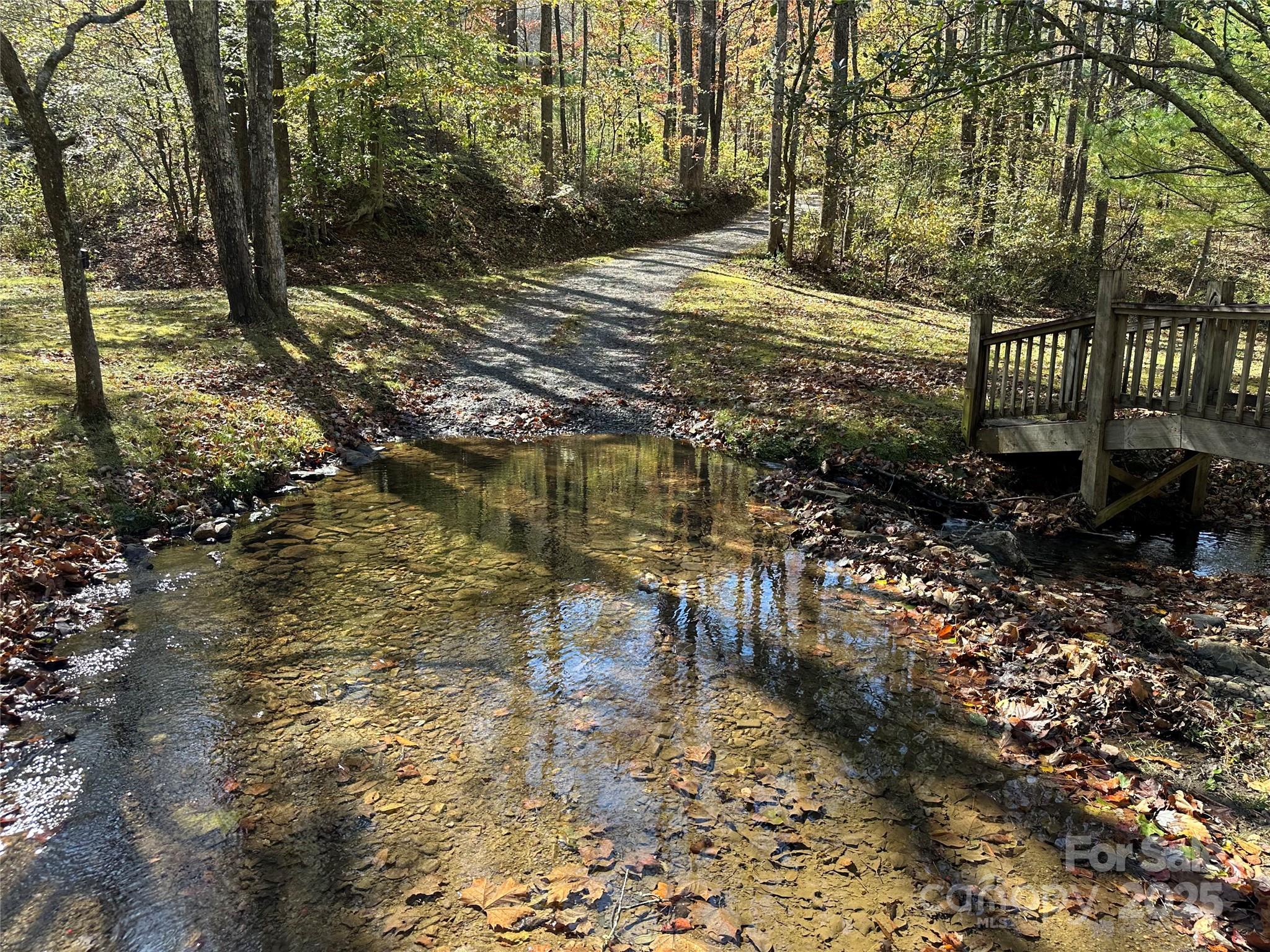 1917 Longbottom Road McGrady, NC 28649 - Photo 28 of 32 a view of a yard with plants