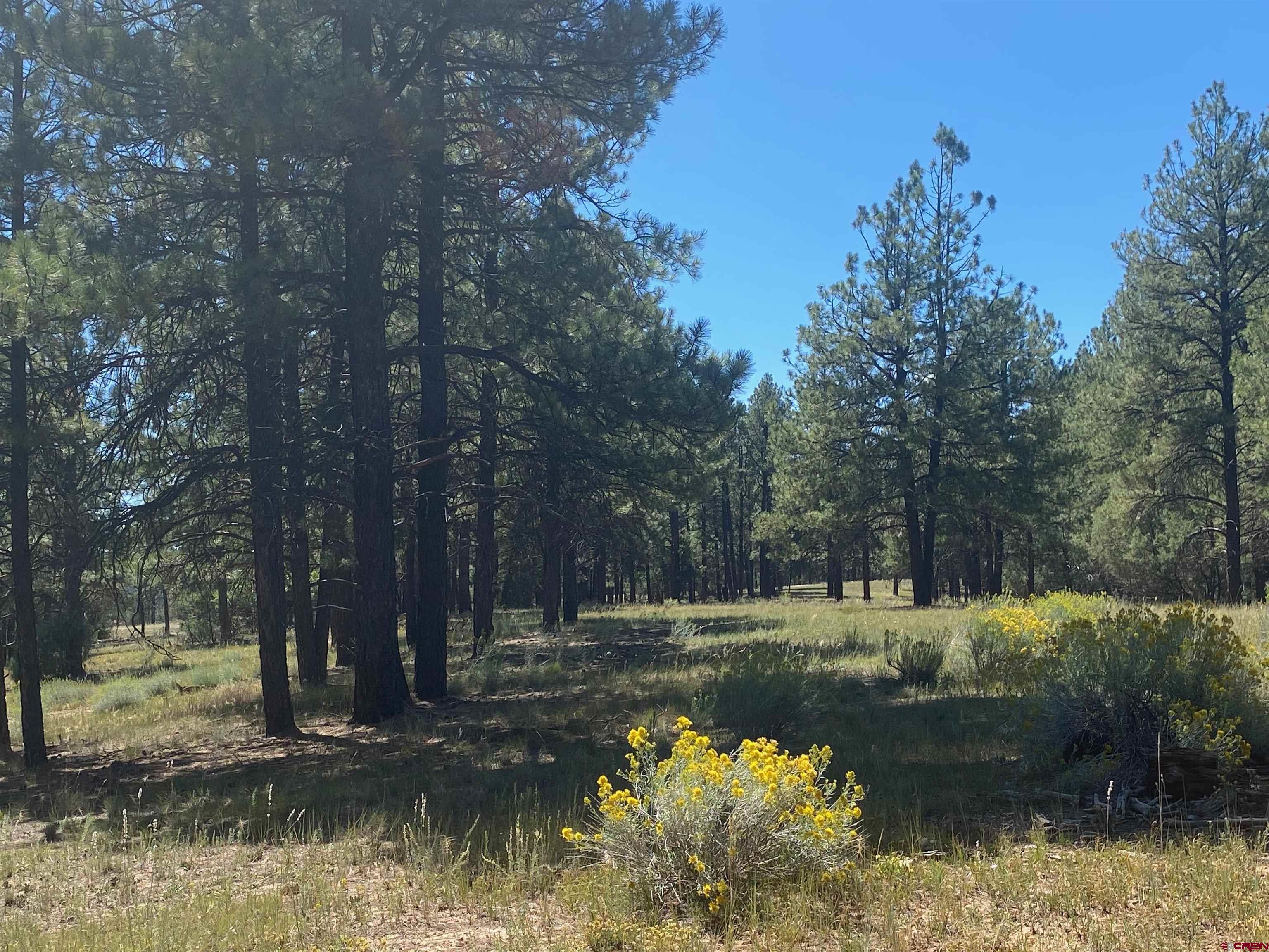 X Rumbaugh Road Pagosa Springs, CO 81147 - Photo 19 of 21 Gallery Image 19