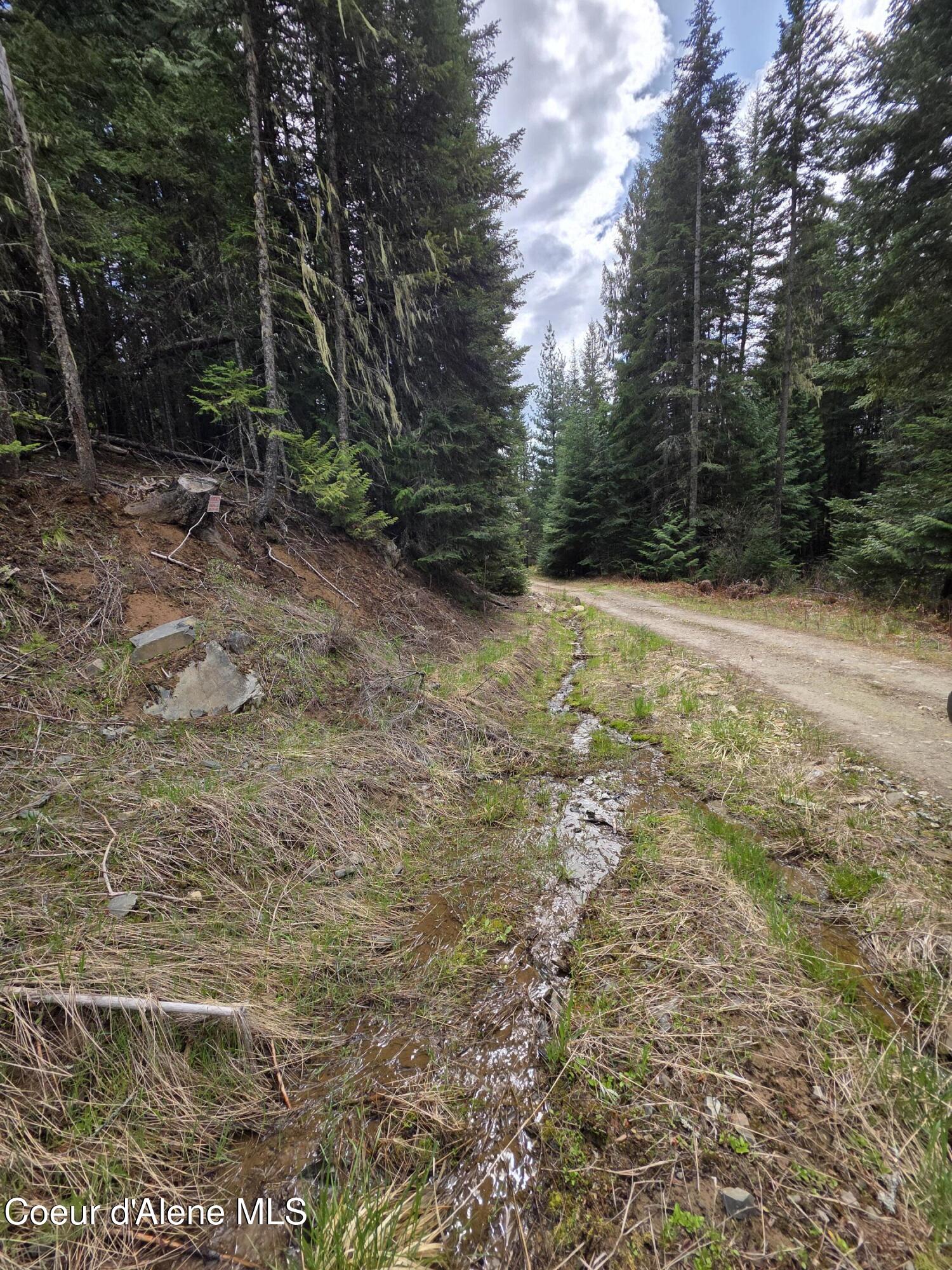 Nna Nna Cabin Loop Rd Street St. Maries, ID 83861 - Photo 5 of 8 Easement off Cabin Loop
