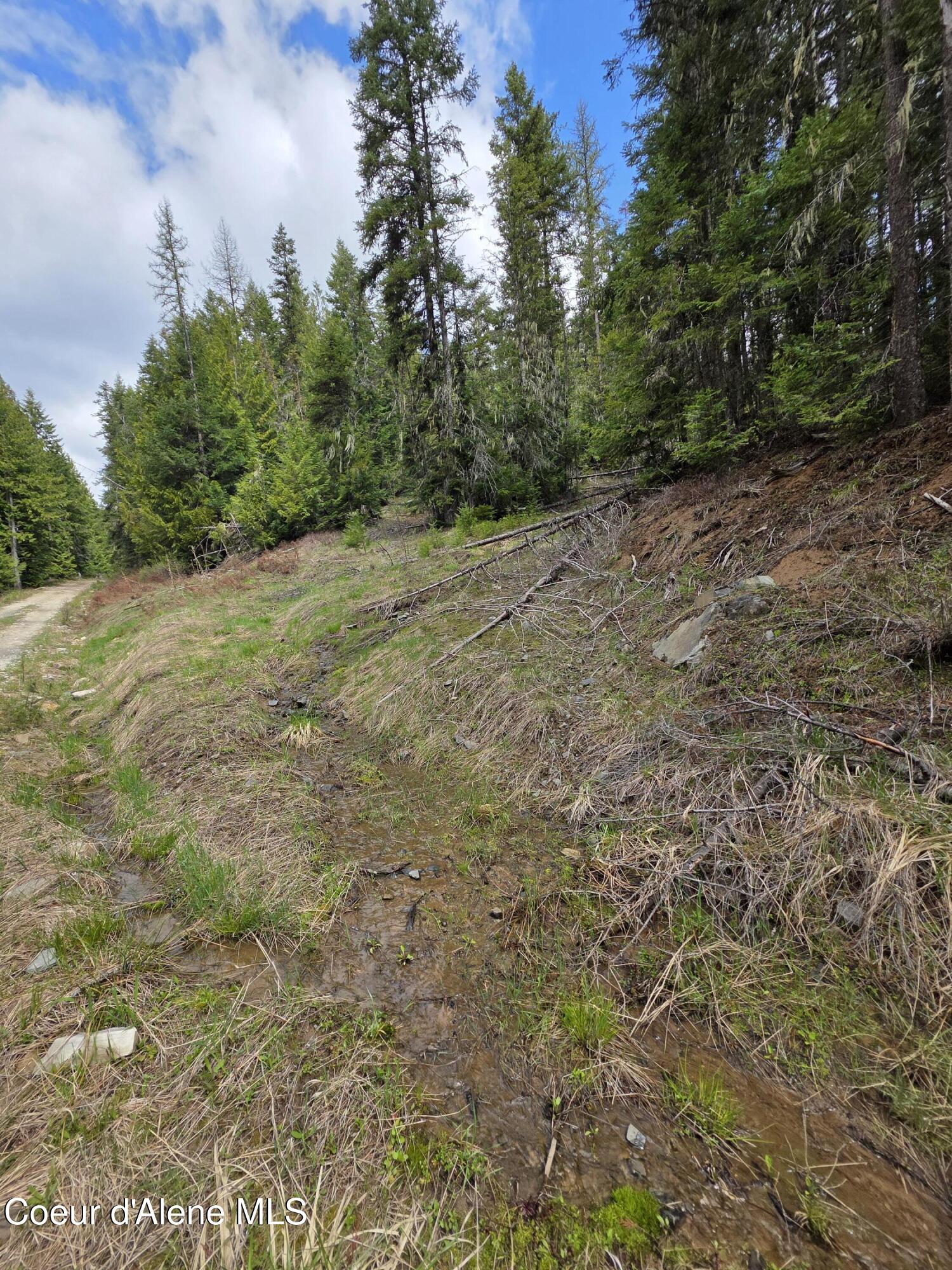 Nna Nna Cabin Loop Rd Street St. Maries, ID 83861 - Photo 6 of 8 Easement Access
