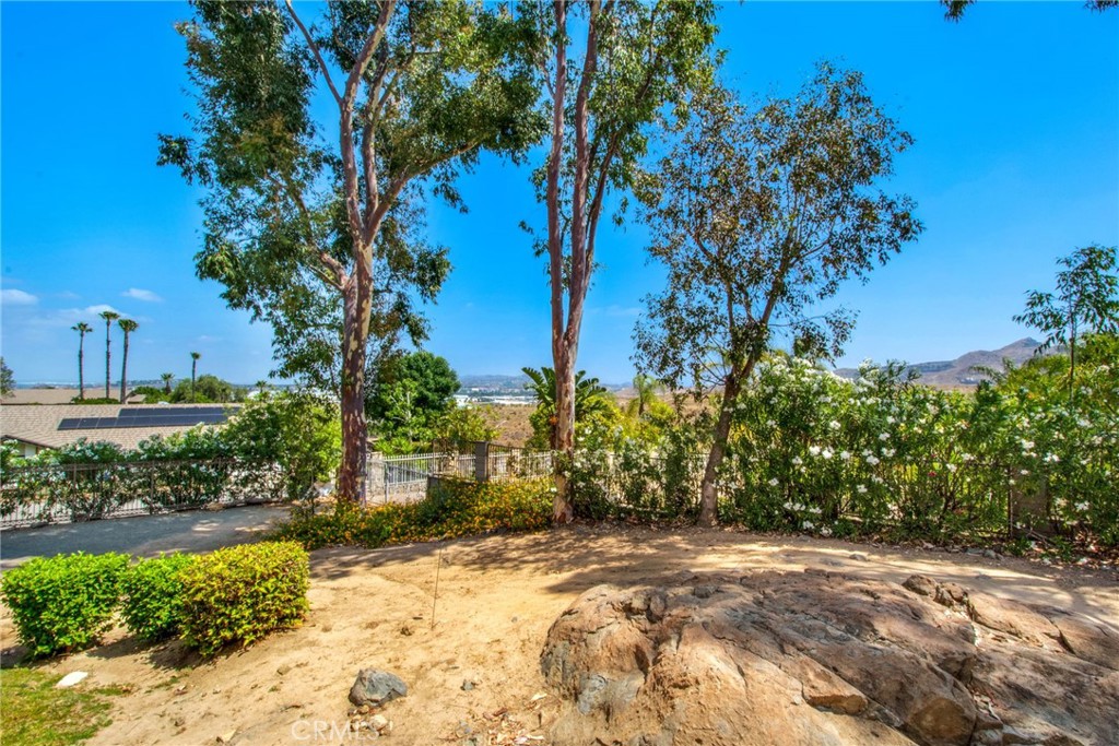 7241 Old Temescal Road Corona, CA 92881 - Photo 8 of 47 a view of a yard with plants and trees