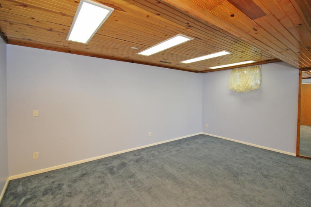 46820 Reeder Road Decatur, MI 49045 - Photo 13 of 69 46820 Reeder Rd-38
