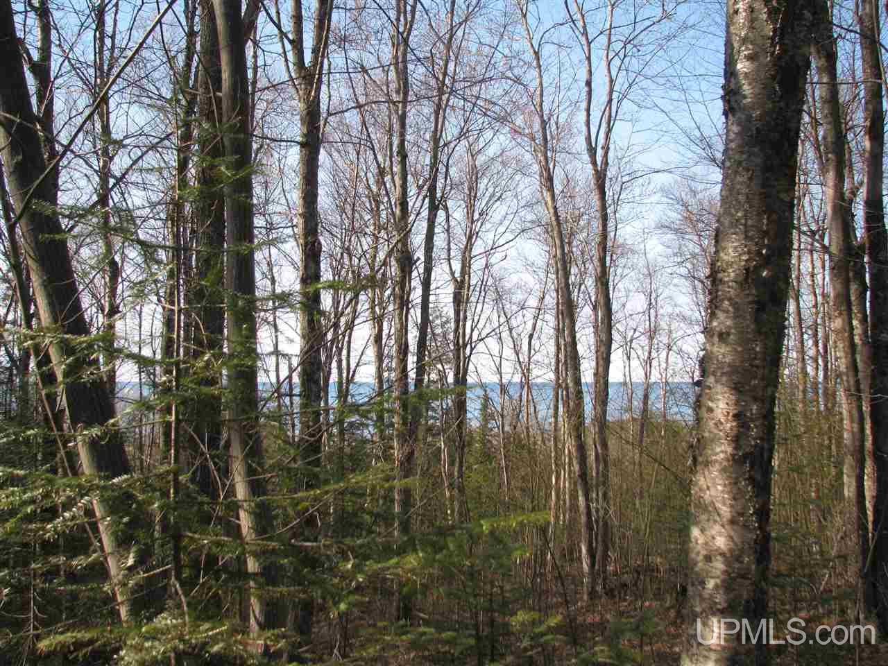 Tbd County Rd H-58 Grand Marais, MI 49839 - Photo 3 of 11
