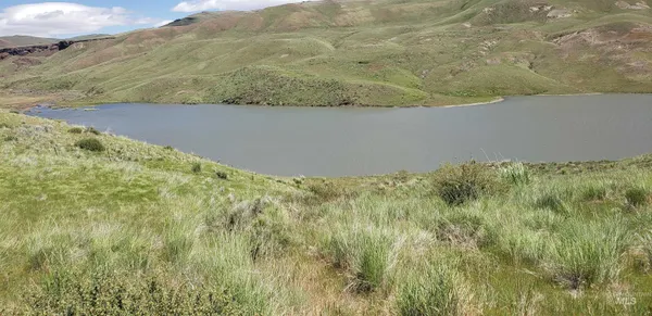 $350,000 | Tbd Succor Crk Road, Murphy, ID 83650