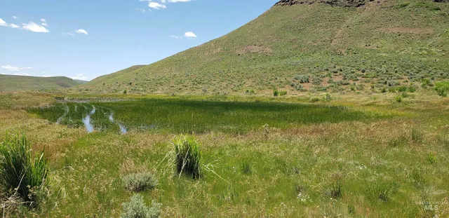 $350,000 | Tbd Succor Crk Road, Murphy, ID 83650