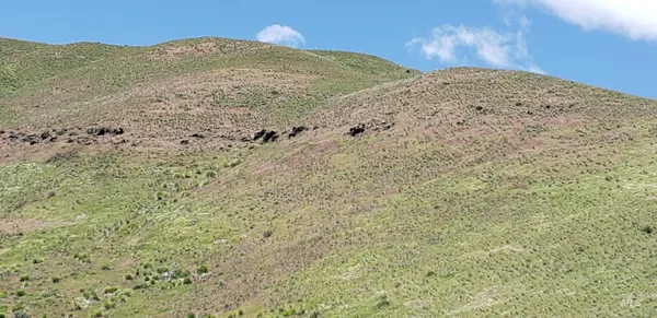 $350,000 | Tbd Succor Crk Road, Murphy, ID 83650