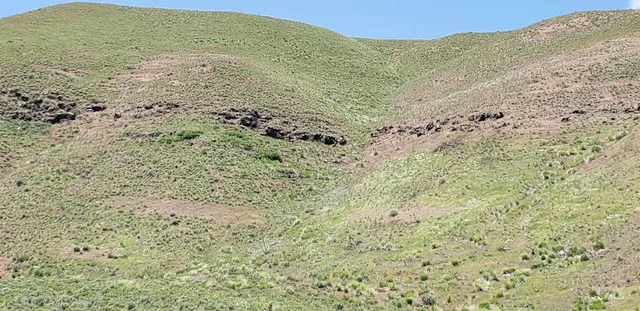 $350,000 | Tbd Succor Crk Road, Murphy, ID 83650