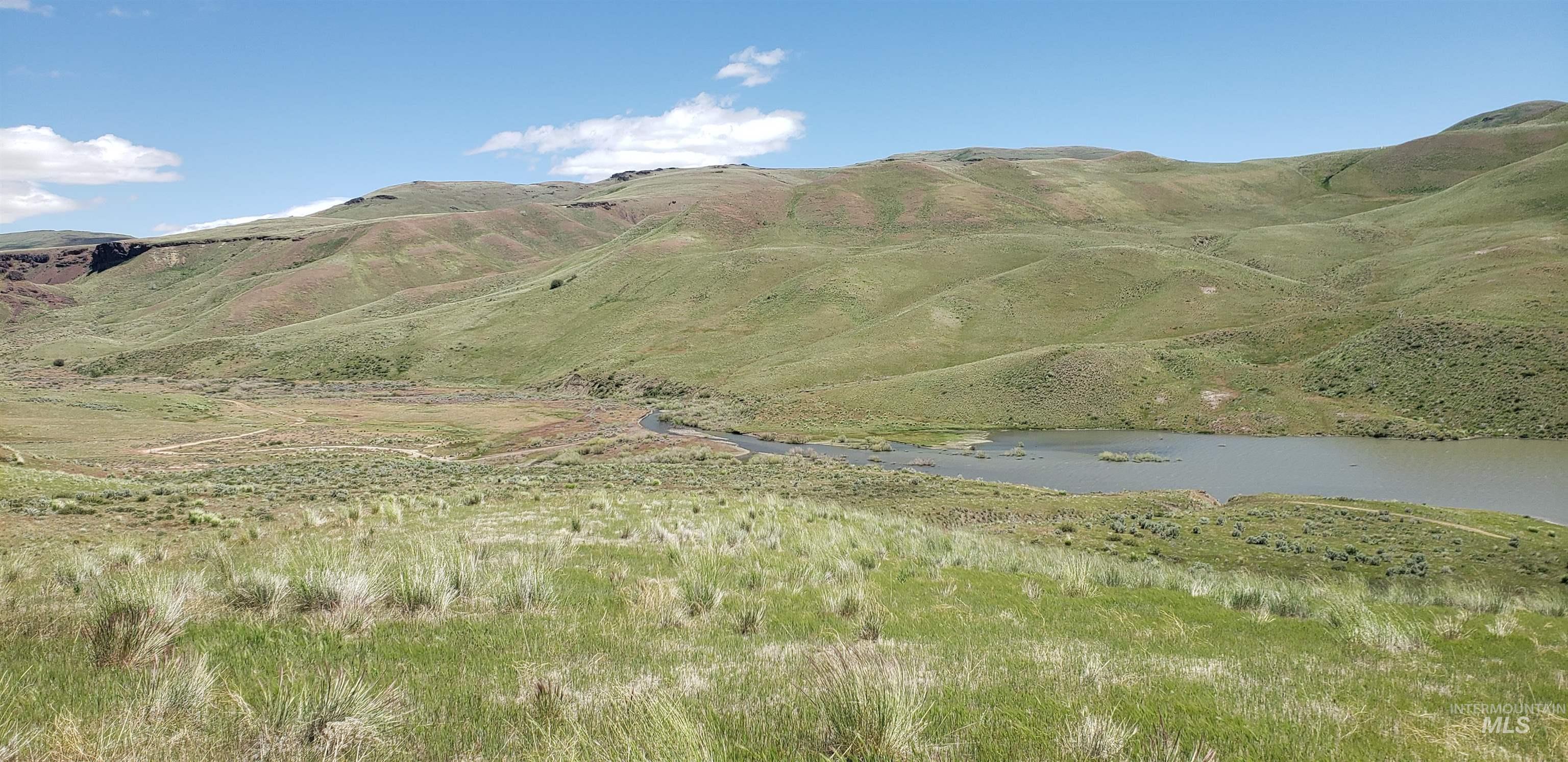 Tbd Succor Crk Road Murphy, ID 83650 - Photo 2 of 18