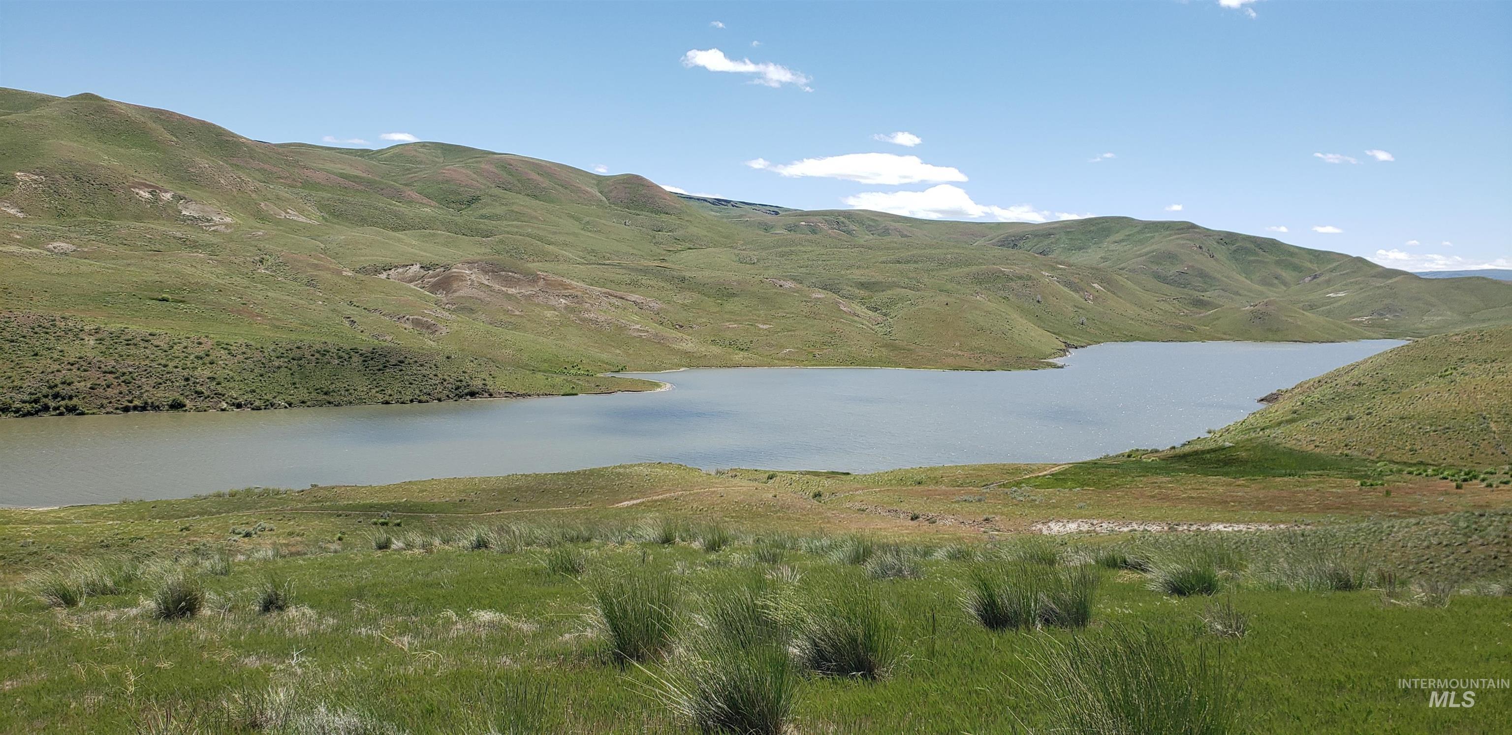 Tbd Succor Crk Road Murphy, ID 83650 - Photo 3 of 18