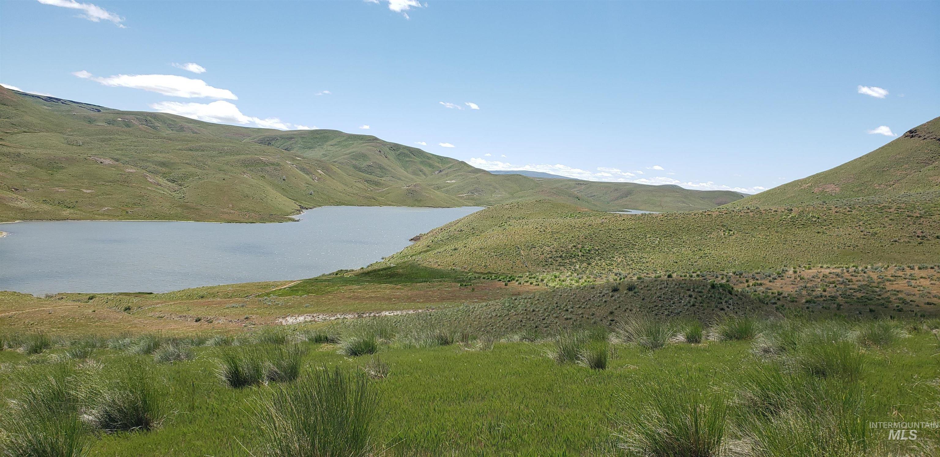 Tbd Succor Crk Road Murphy, ID 83650 - Photo 4 of 18