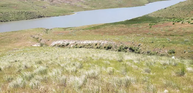 $350,000 | Tbd Succor Crk Road, Murphy, ID 83650