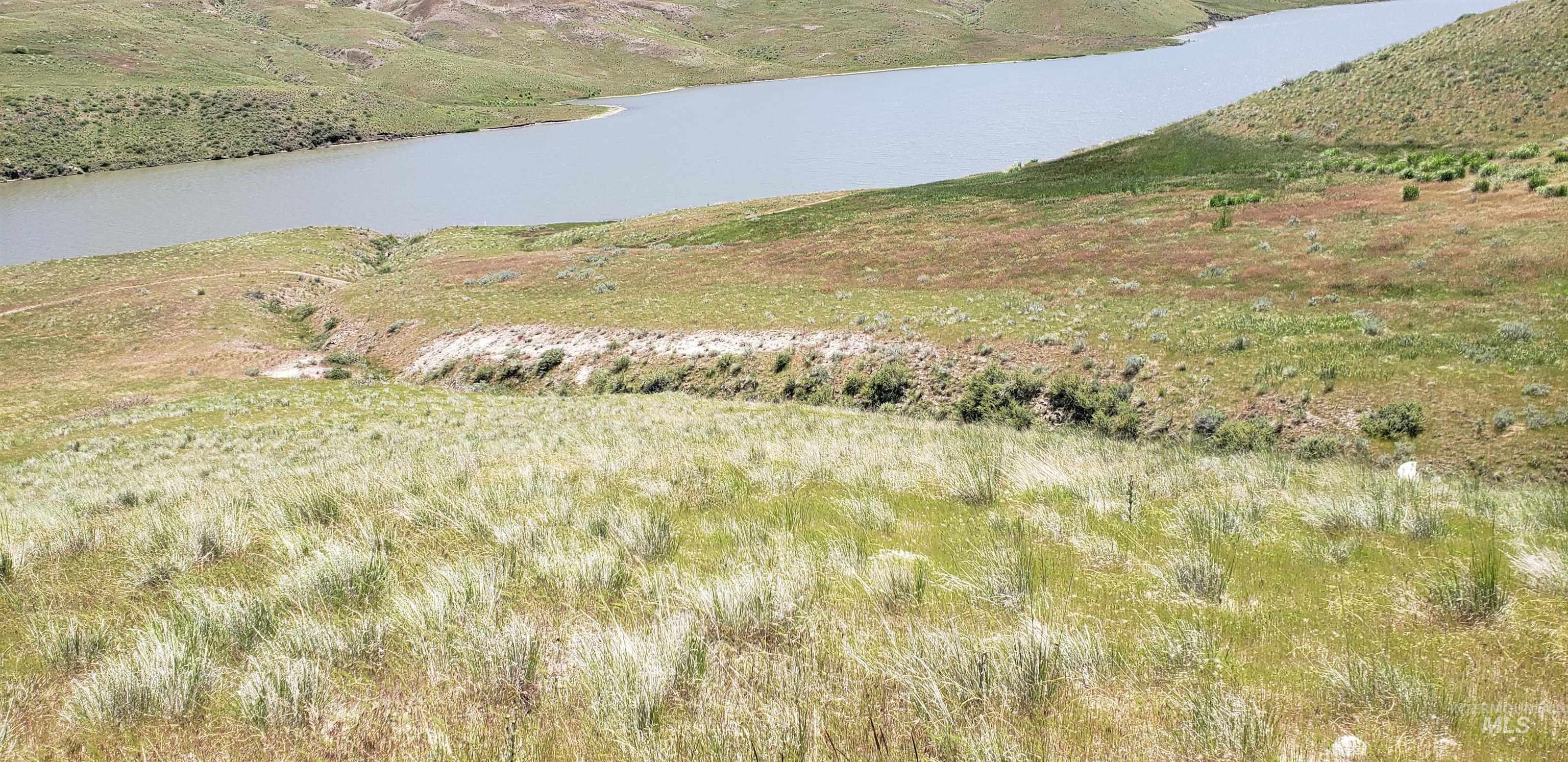 Tbd Succor Crk Road Murphy, ID 83650 - Photo 6 of 18