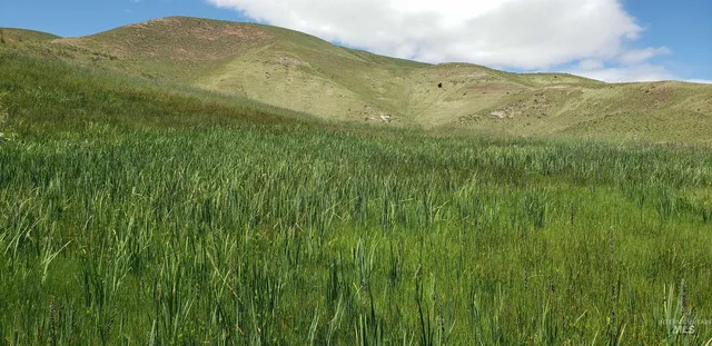 $350,000 | Tbd Succor Crk Road, Murphy, ID 83650