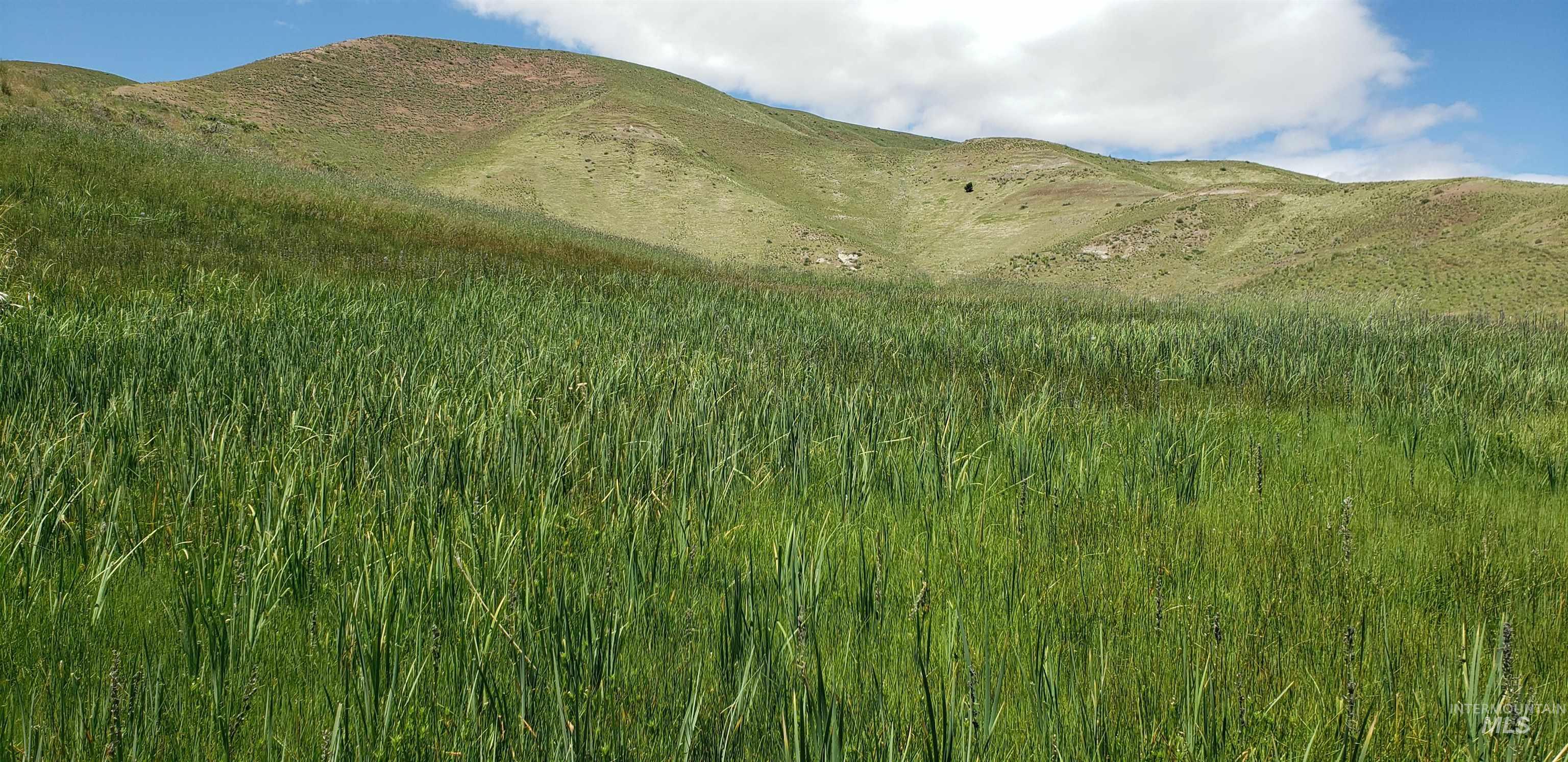 Tbd Succor Crk Road Murphy, ID 83650 - Photo 7 of 18