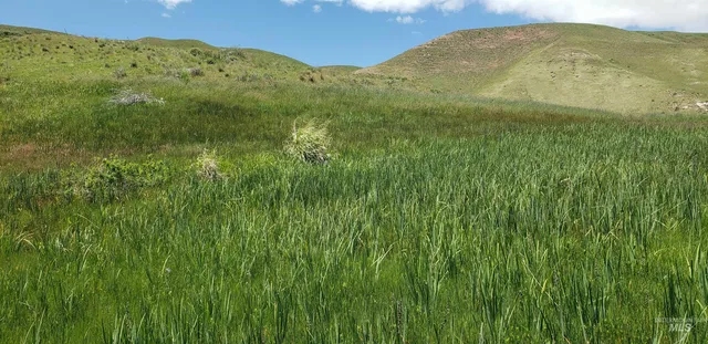 $350,000 | Tbd Succor Crk Road, Murphy, ID 83650