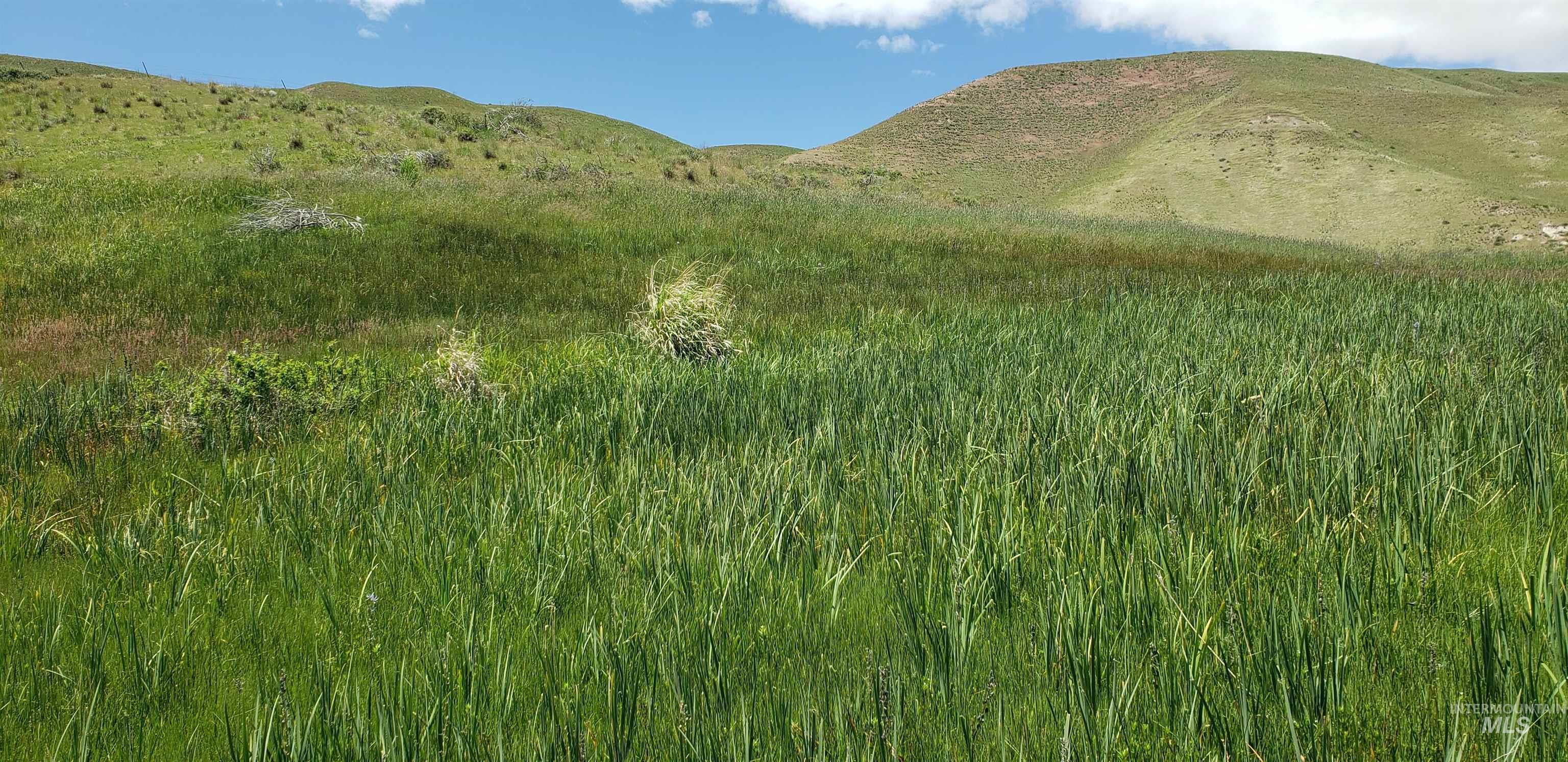 Tbd Succor Crk Road Murphy, ID 83650 - Photo 8 of 18