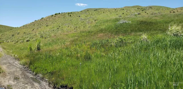 $350,000 | Tbd Succor Crk Road, Murphy, ID 83650