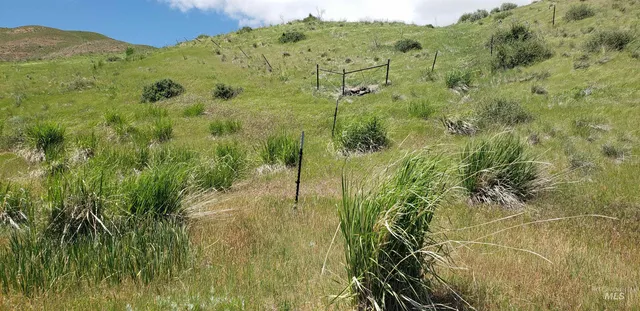 $350,000 | Tbd Succor Crk Road, Murphy, ID 83650