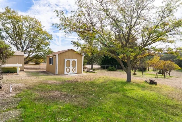 a view of yard with trees