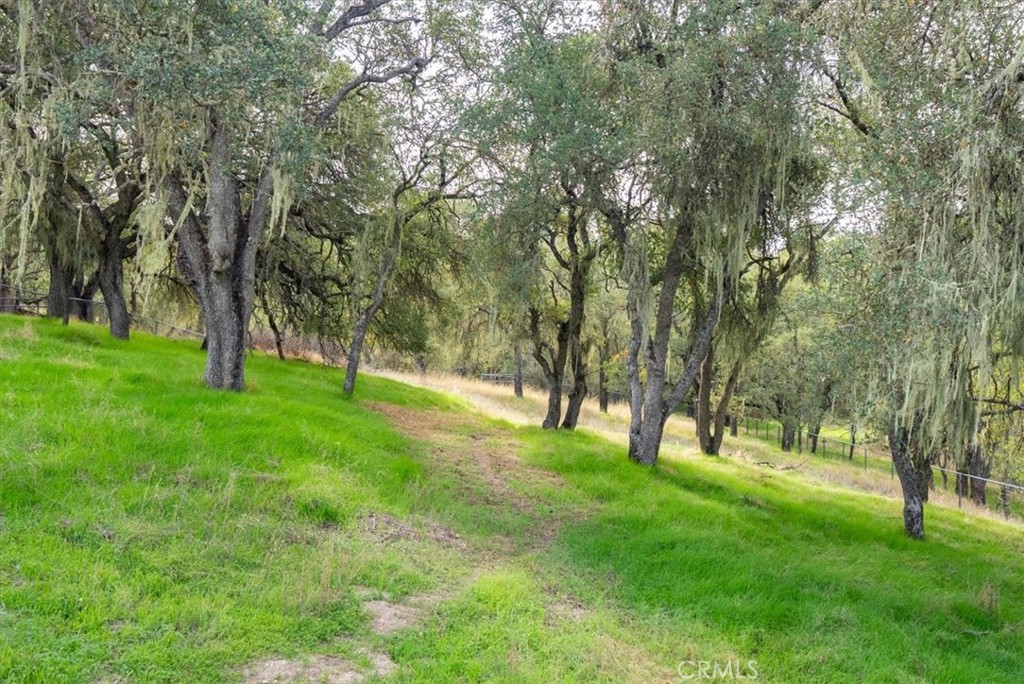 1505 Barley Grain Road Paso Robles, CA 93446 - Photo 40 of 56 a view of yard with trees