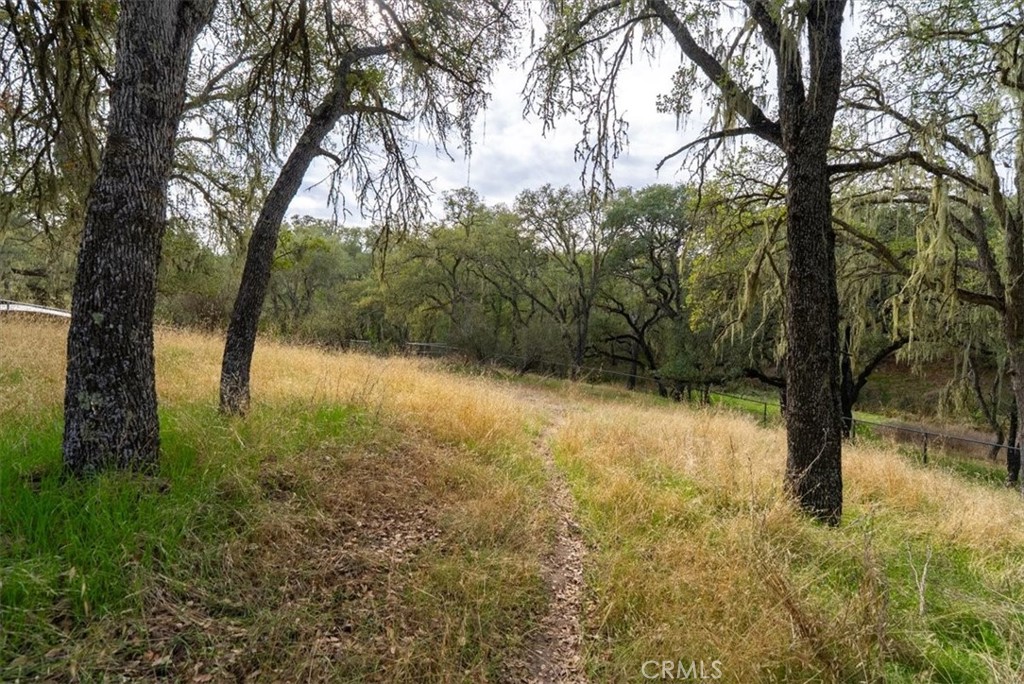 1505 Barley Grain Road Paso Robles, CA 93446 - Photo 41 of 56 a view of outdoor space and trees
