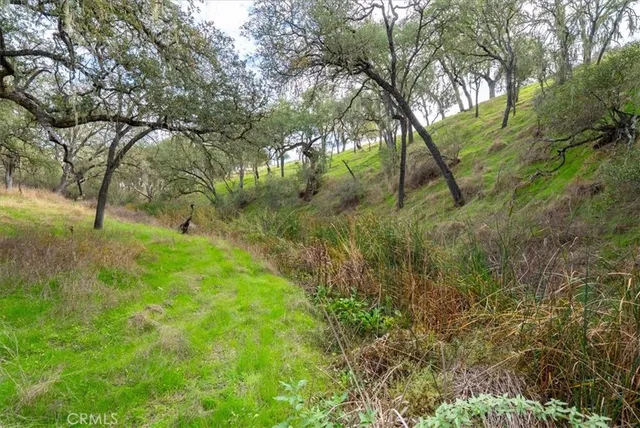 a view of a field with trees in front of it