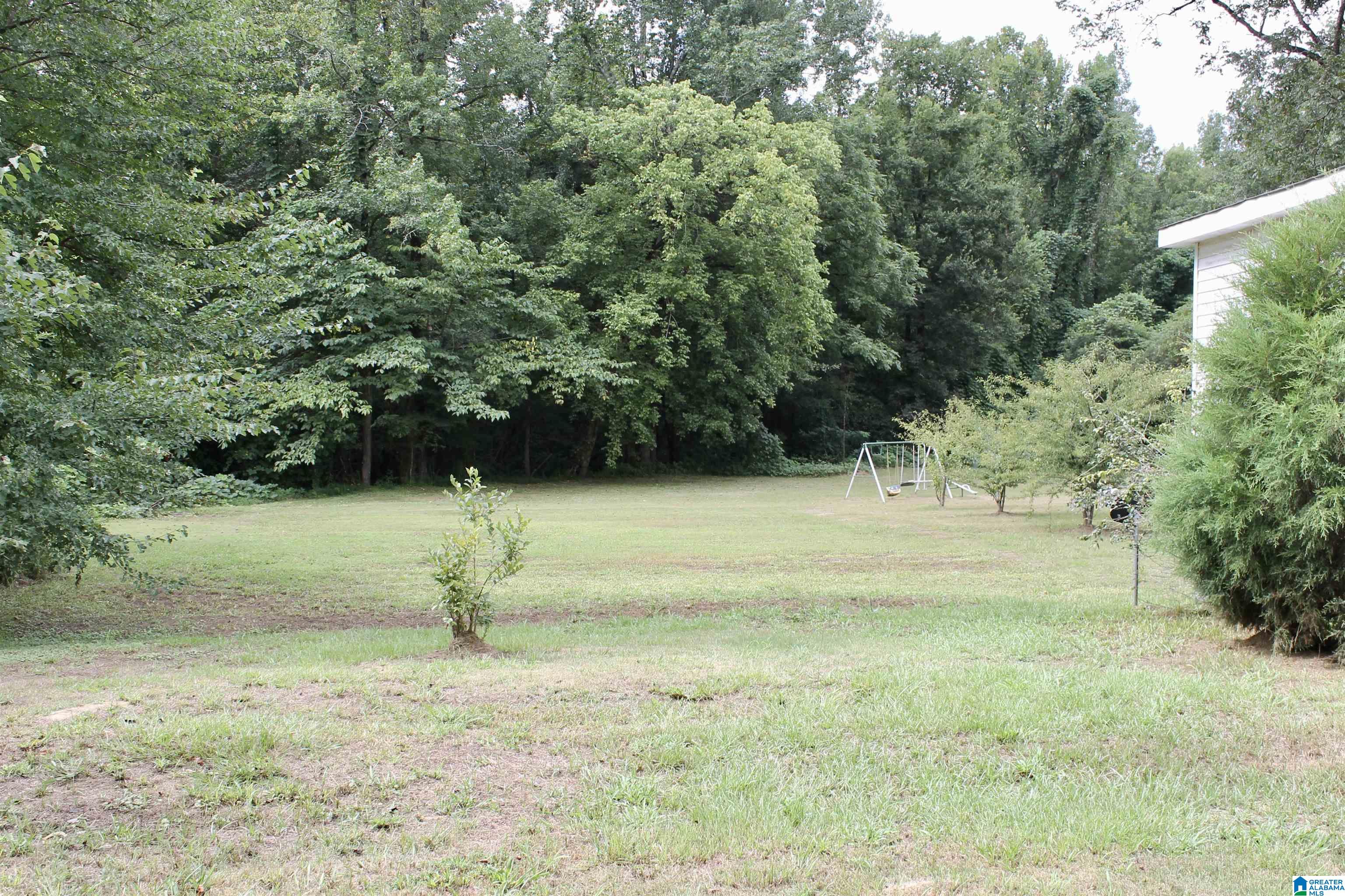 381 Old Ashville Road Ragland, AL 35131 - Photo 2 of 20