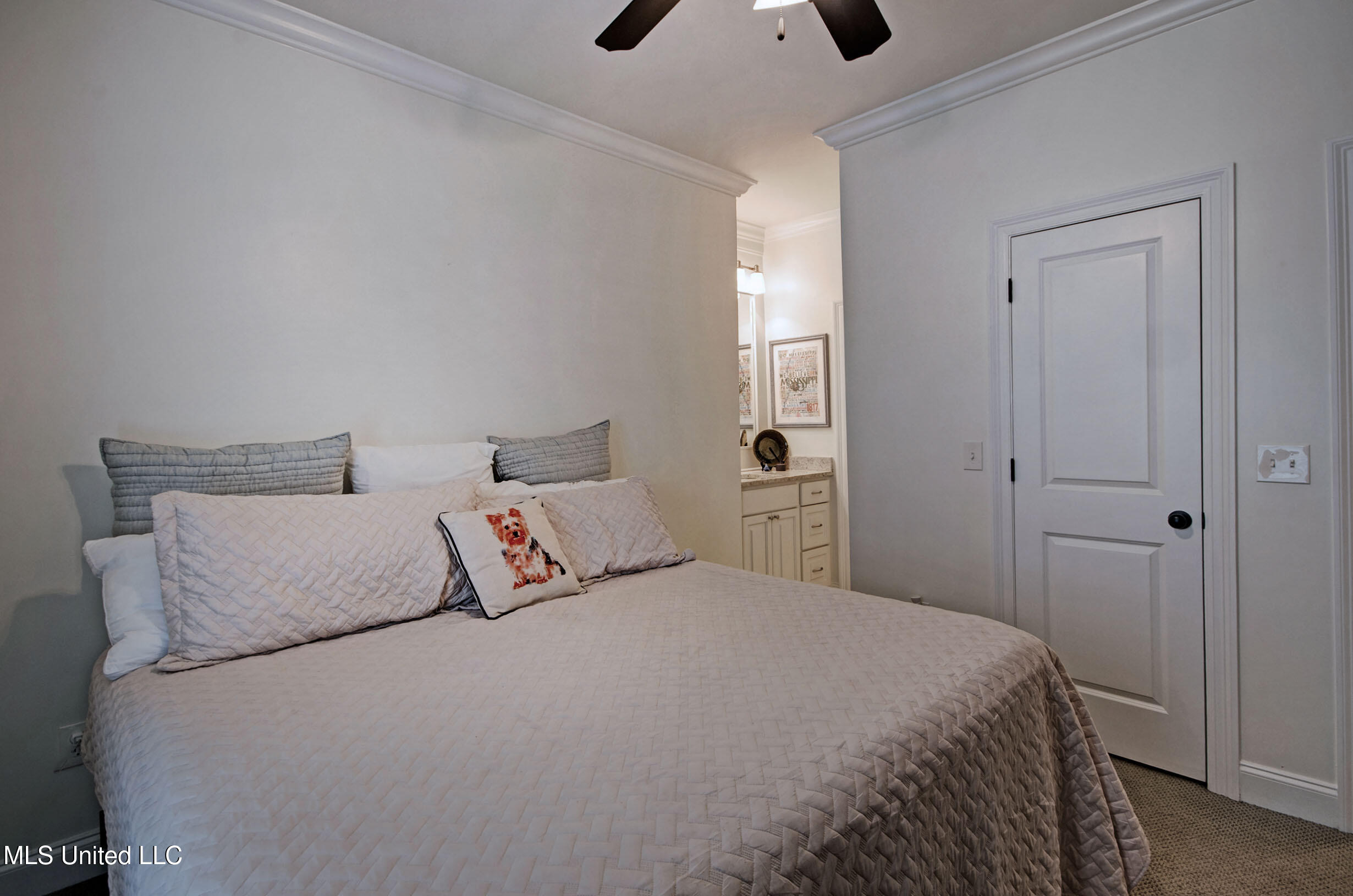 622 Macbeth Street Brandon, MS 39047 - Photo 28 of 29 IMGP6714_5_6