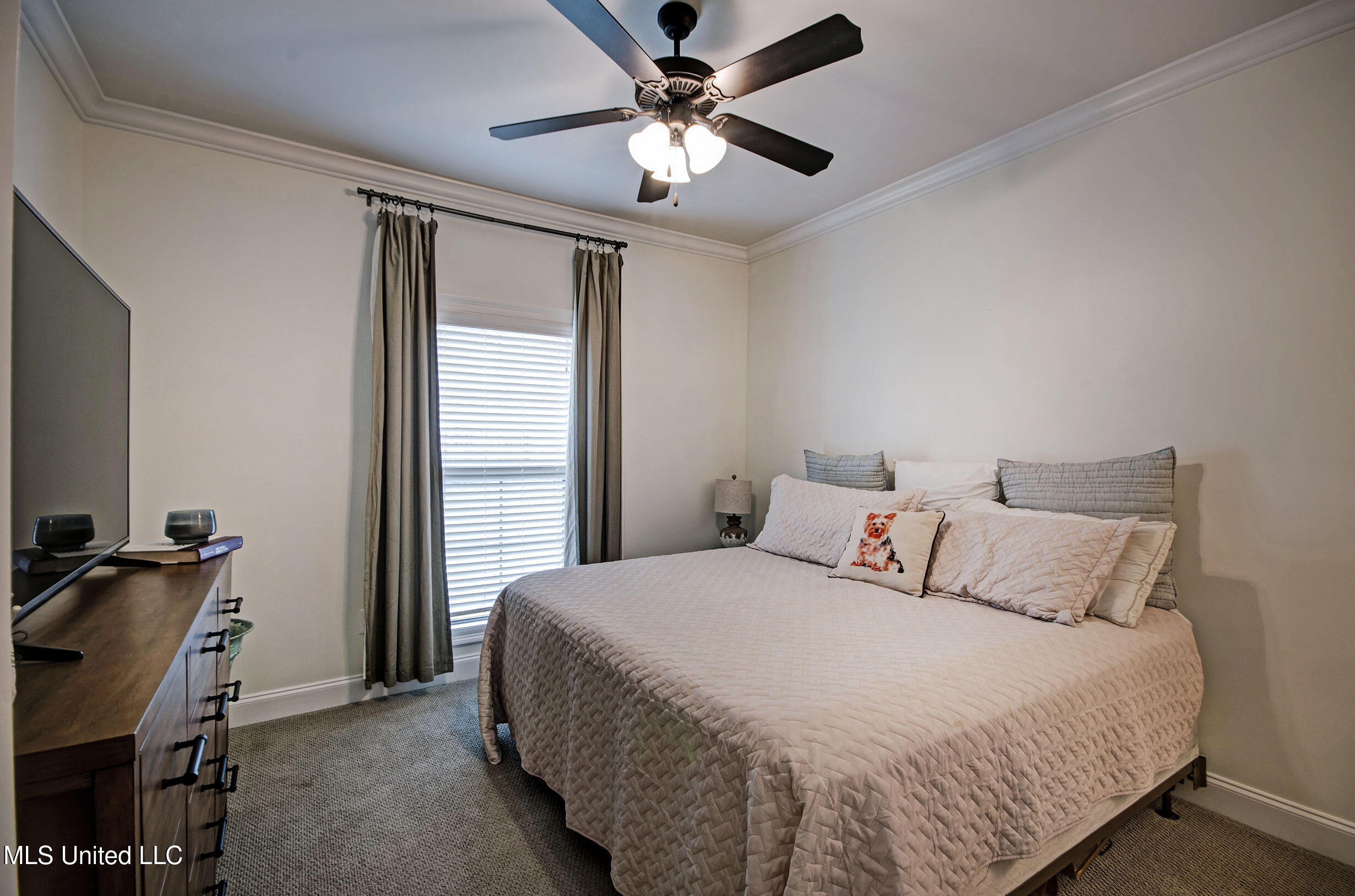 622 Macbeth Street Brandon, MS 39047 - Photo 29 of 29 IMGP6717_8_9