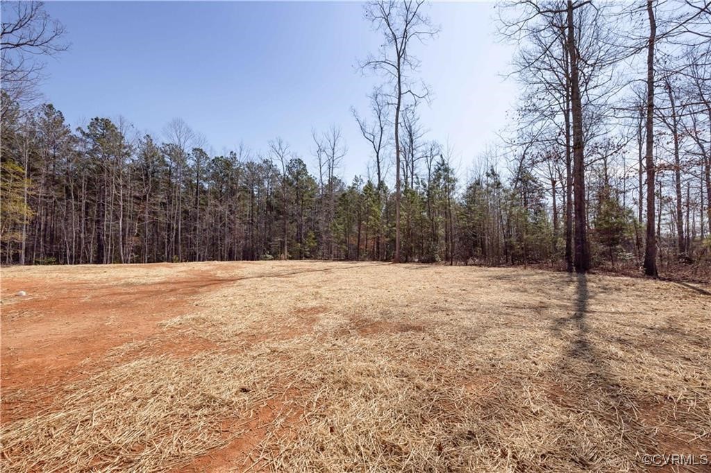 12036 Corte Castle Road Chesterfield, VA 23838 - Photo 4 of 31 a view of large yard with trees in the background