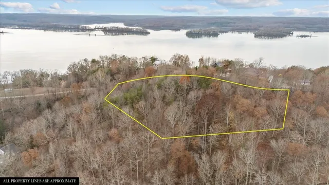 a view of a dry yard