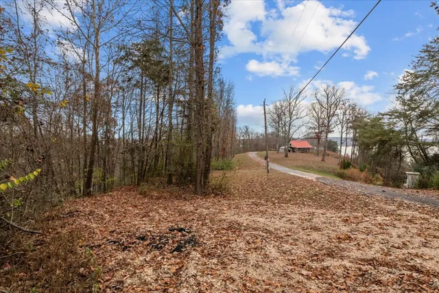 a view of road with trees