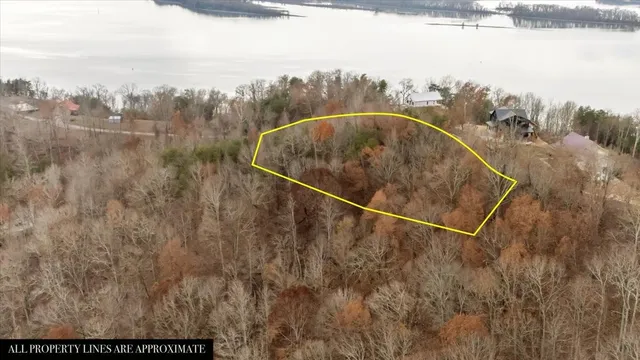 a view of a dry yard with wooden fence