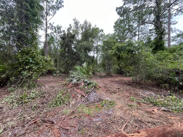 a view of a yard with a tree
