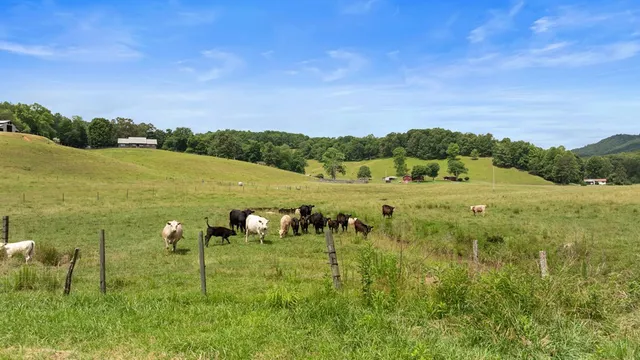 $1,200,000 | 102 Cross Creek Lane, Warne, NC 28909