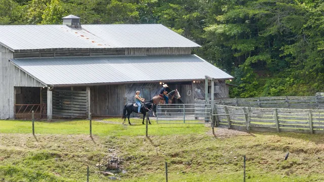 $1,200,000 | 102 Cross Creek Lane, Warne, NC 28909