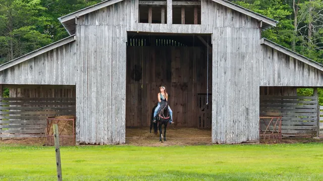 $1,200,000 | 102 Cross Creek Lane, Warne, NC 28909